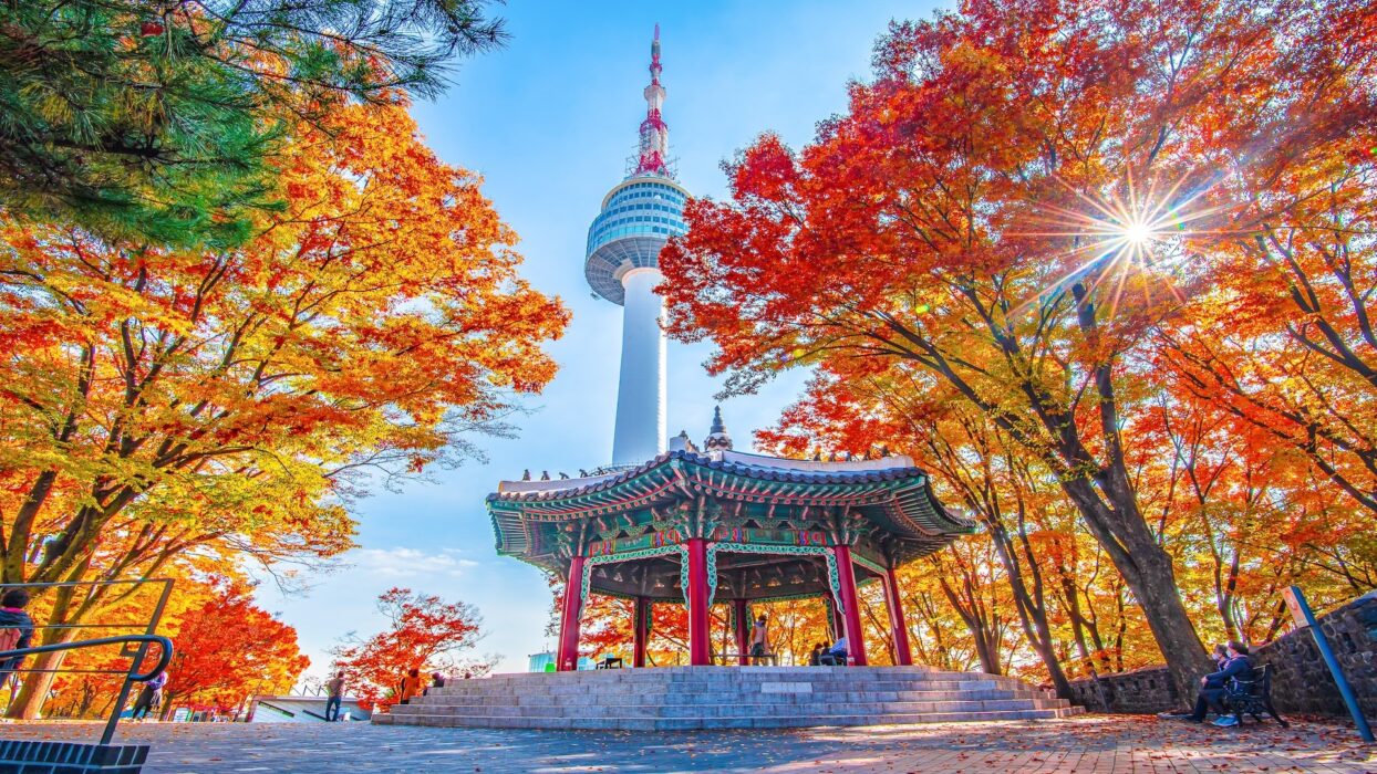 Namsan Tower in autumn, Seoul